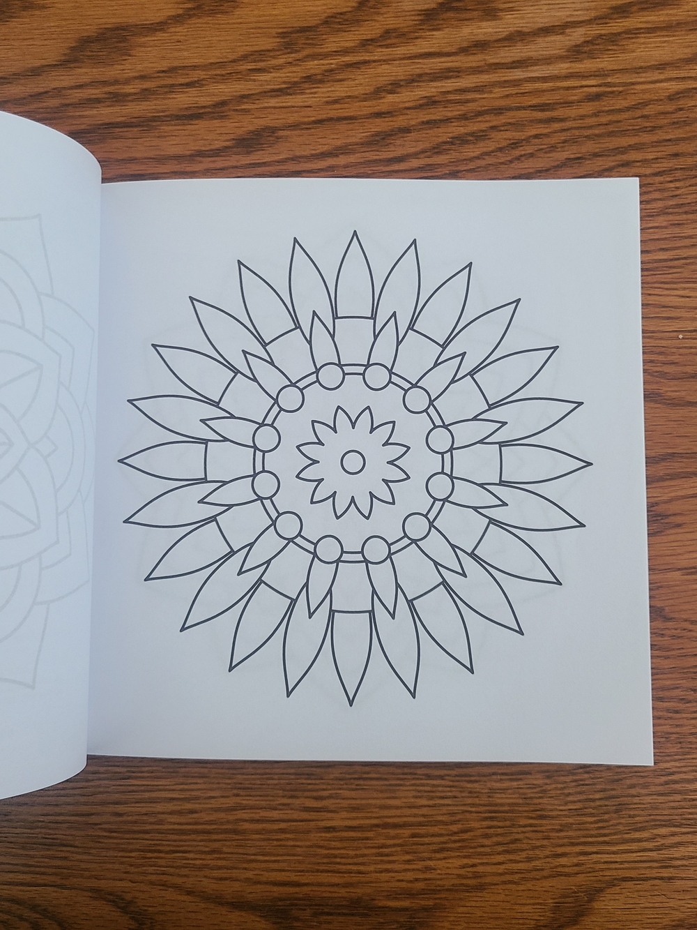 Easy Adult Coloring Book W/Ohuhu Glitter Markers - Picture 11 of 12